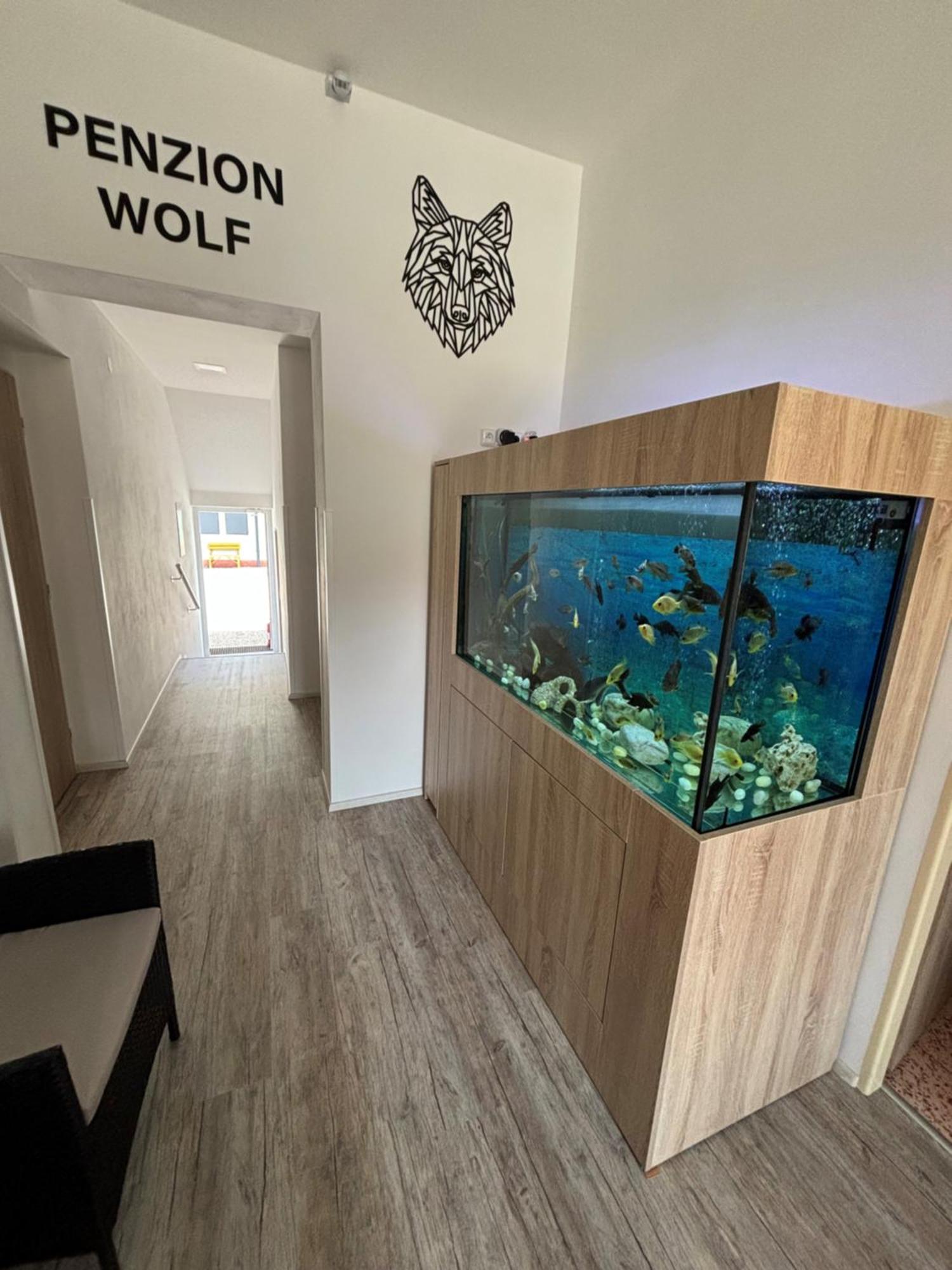 Penzion a autokemp Wolf Česká Skalice Bagian luar foto